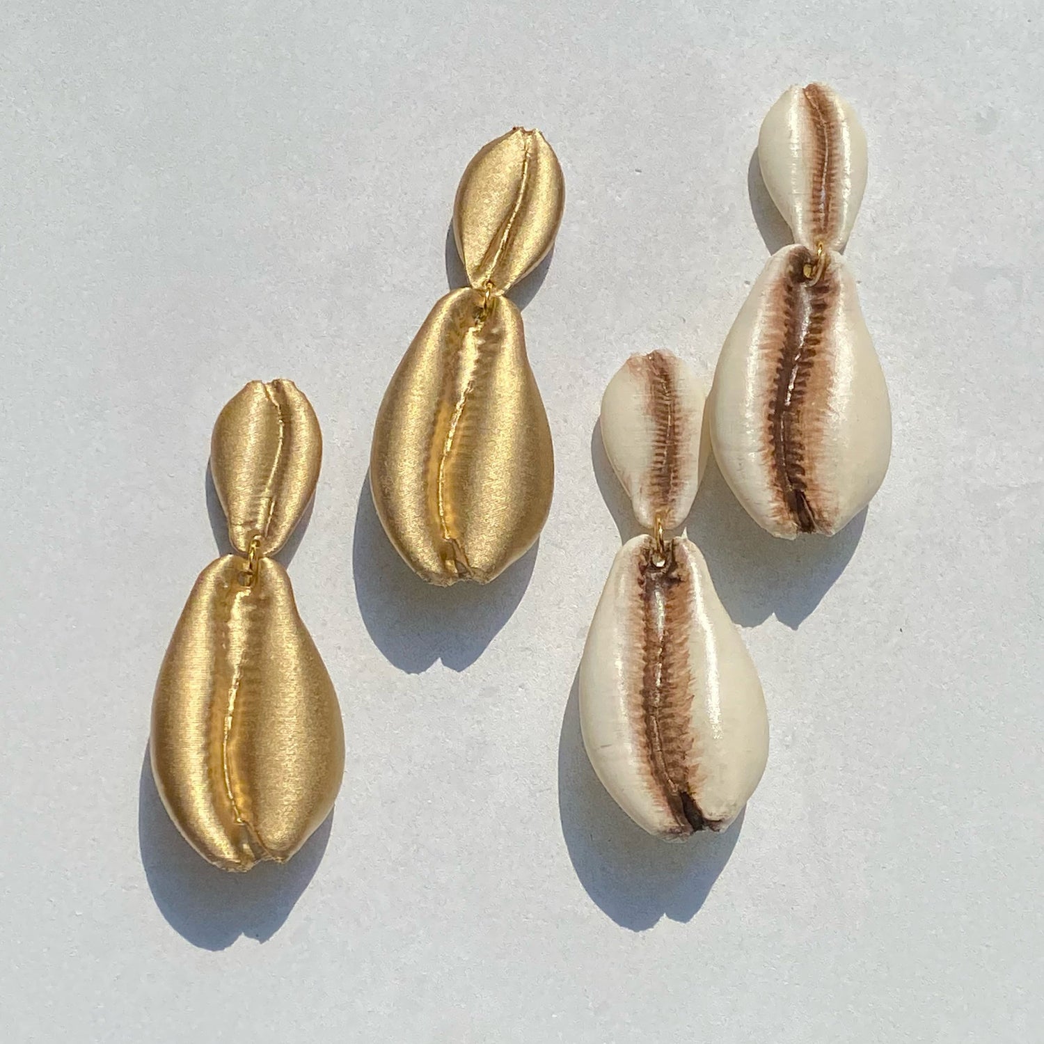 Cowrie Shells