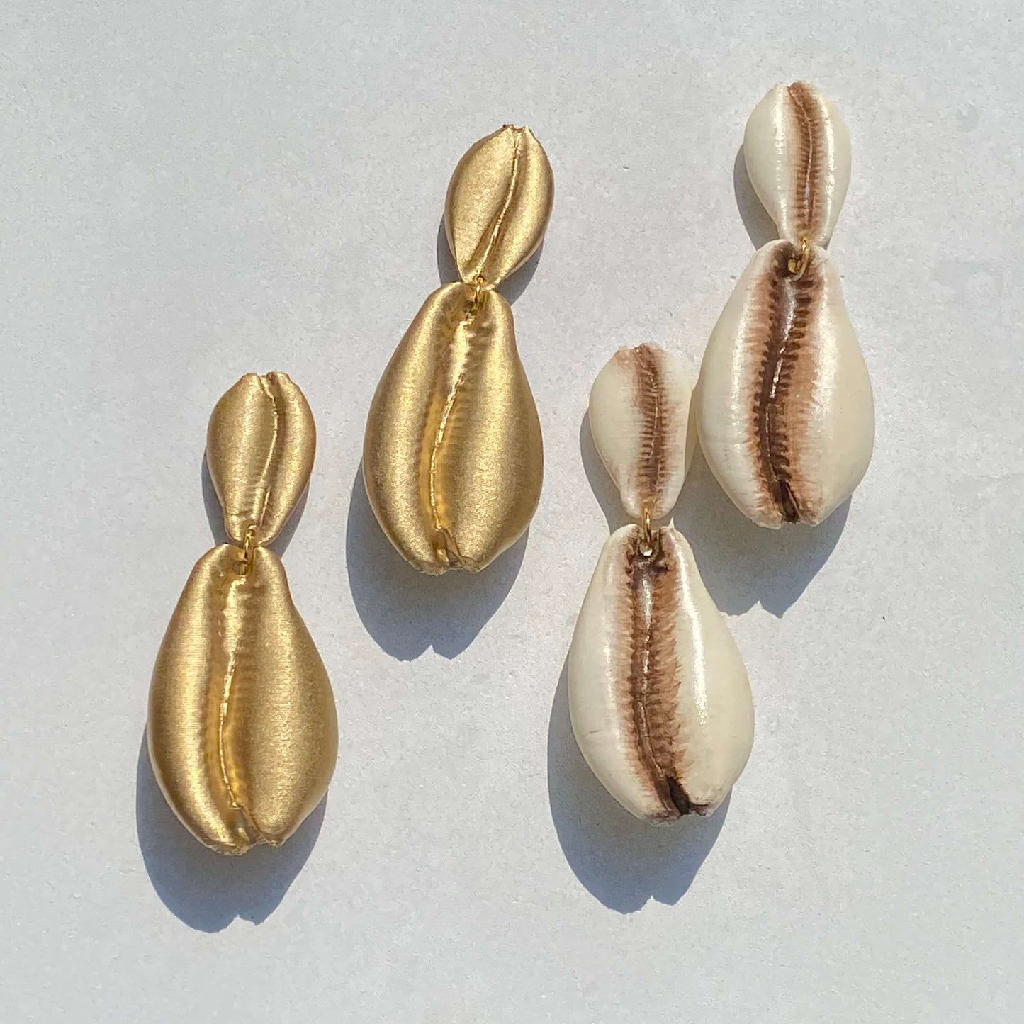 Cowrie Shells