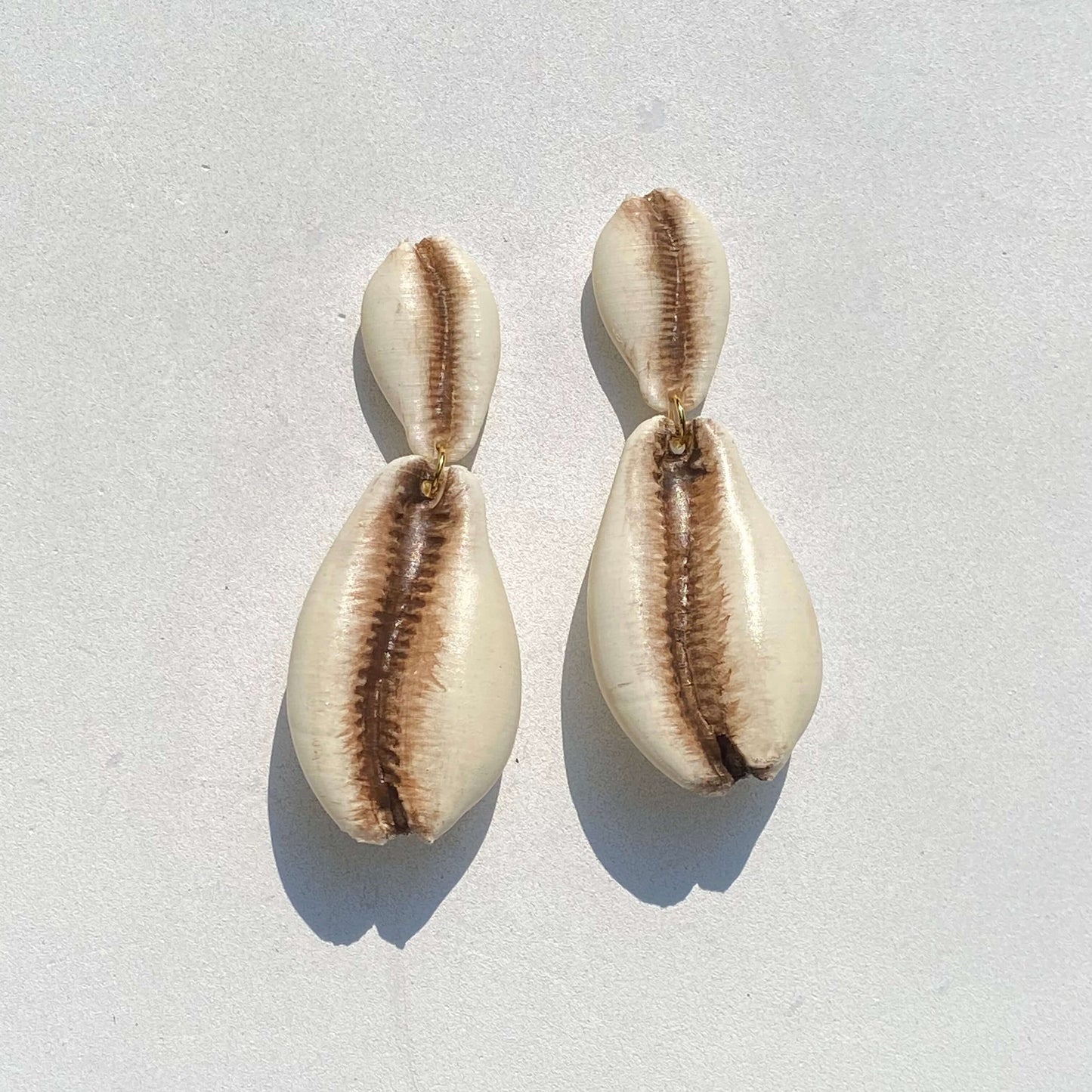 Cowrie Shells