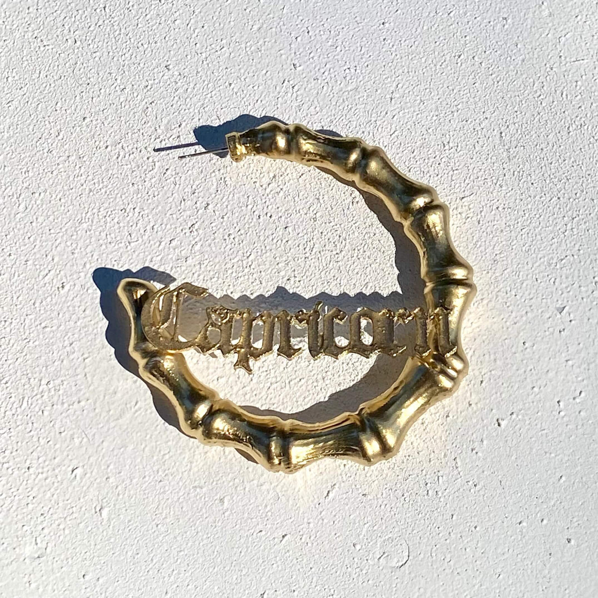 Zodiac Hoops