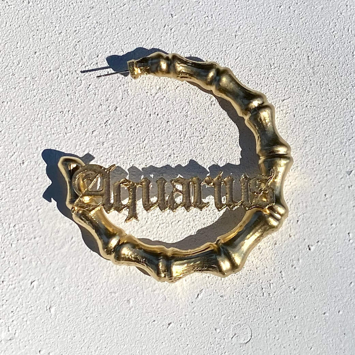 Zodiac Hoops