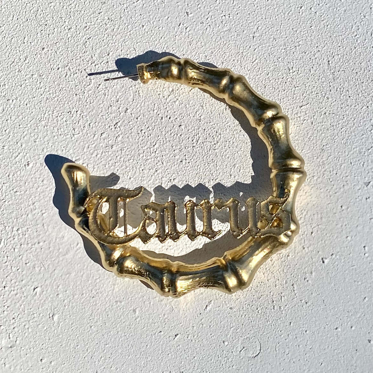 Zodiac Hoops