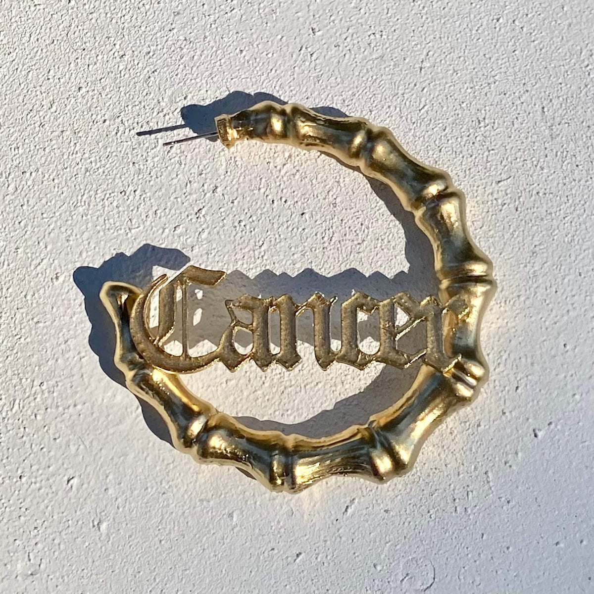 Zodiac Hoops